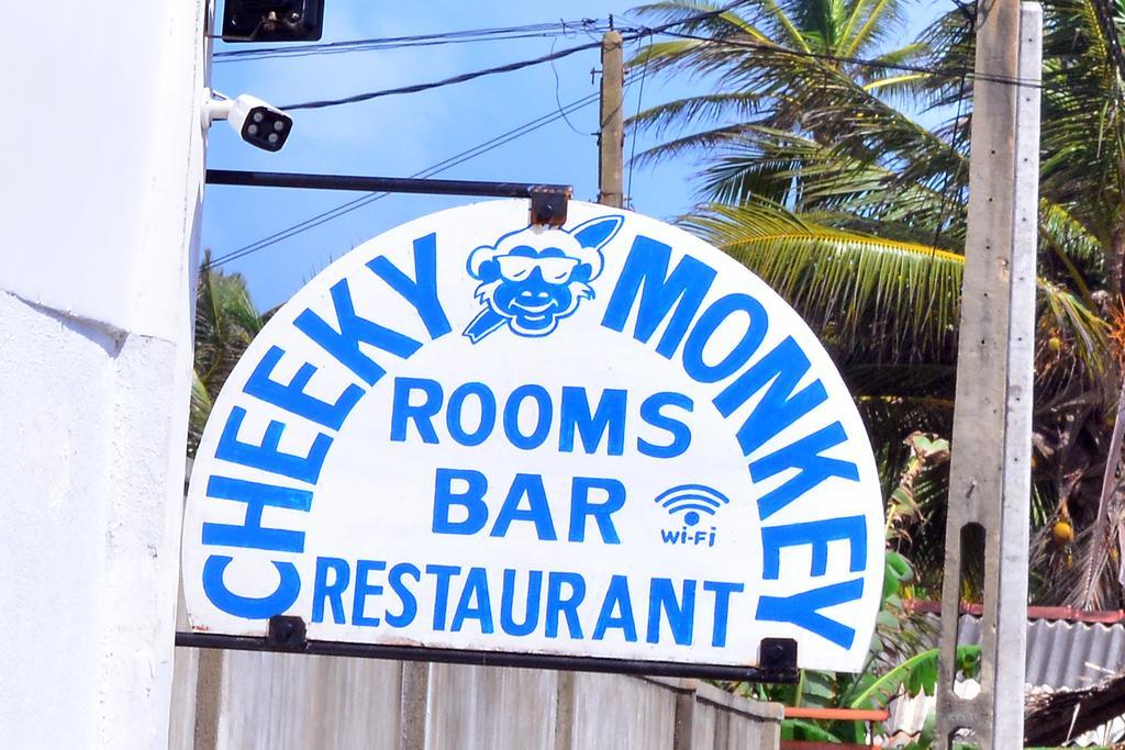 Hotel Cheeky Monkey Surf Camp Weligama Exterior foto